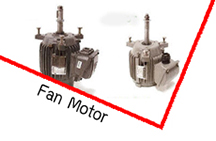 Fan Motor